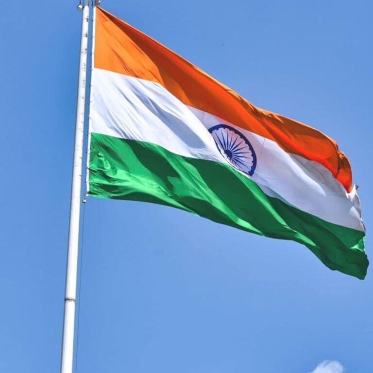 Big Indian Flag 20x30 feet