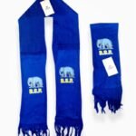 Buy BSP Net Muffler – Lightweight Election Scarf for Campaign Use