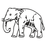 Bsp