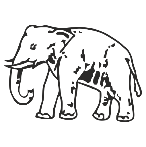 bsp icon