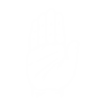 congress icon white