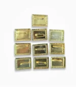 BJP metal badge back view safety pin attachment gold finish rectangle shape